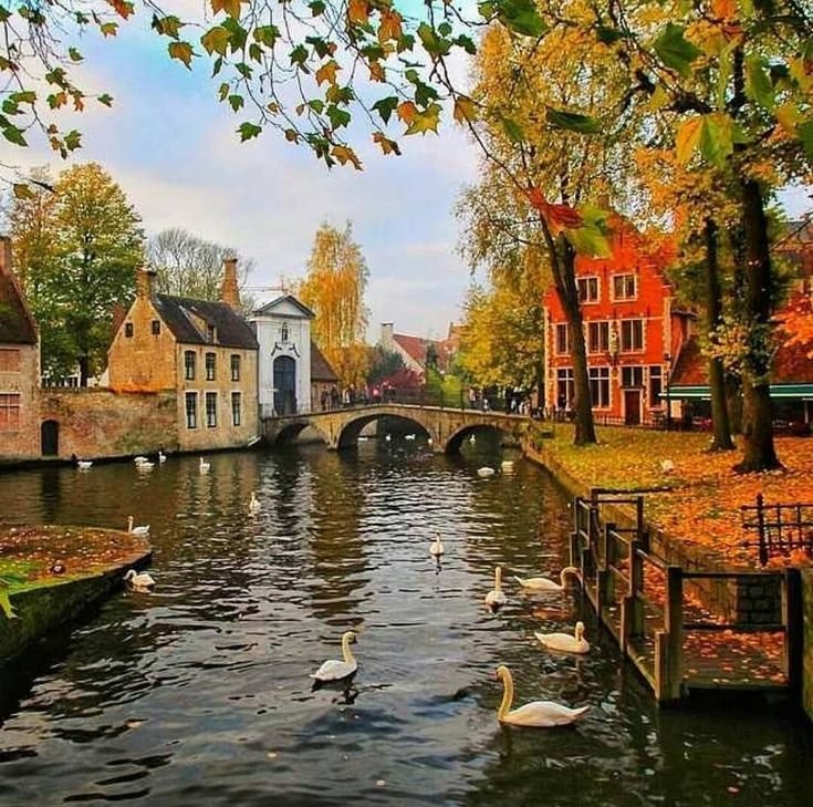 echoesofworld's tweet photo. Bruges, Belgium https://t.co/XOBcSsNInW