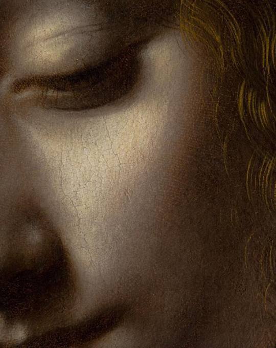 jeannebarrot22's tweet photo. Léonard de Vinci https://t.co/6HjkI1nS0D