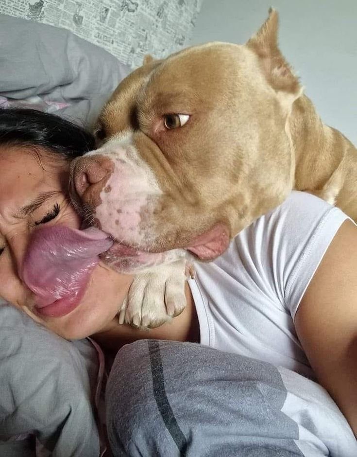 Sakiii717's tweet photo. Discover the adventures of our Knotty Dog Girl! Join us for amazing and exclusive zoo clips
https://t.co/aYOp4HY9rz
#dogknotting #ArtofZoo #Beastiality #Knott
#DogMom #zoophilia
#Taboo
#Kinky https://t.co/xElGYm8Nty