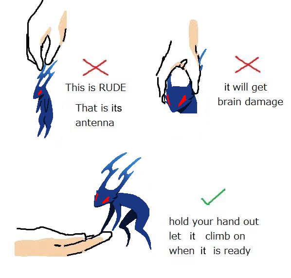 fromthedarkX's tweet photo. my ,guide. https://t.co/YMBwFFR8lB