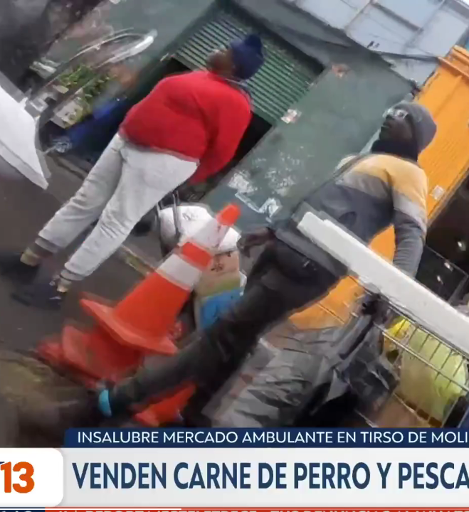 estebanhsc's tweet photo. Estos negros de mierda quieren convertir a este país en el Congo, ¿cual es el aporte de esta gente? campamentos, crimen, venta ambulante, pobreza, enfermedades, saturación de sistemas públicos, etc. etc. https://t.co/8553ipg7Cw