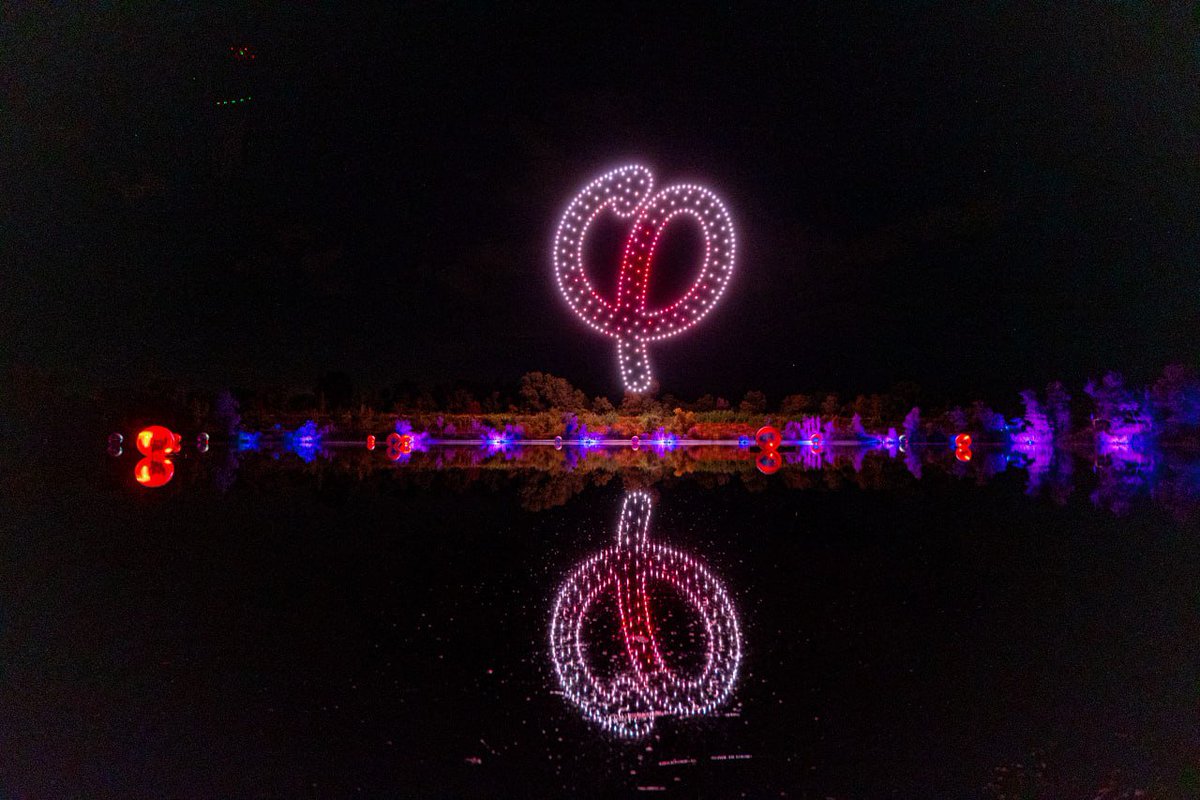 mconstantdosset's tweet photo. Spectacle sur le lac aux #AMFIS2026 https://t.co/be3fUQMhbG