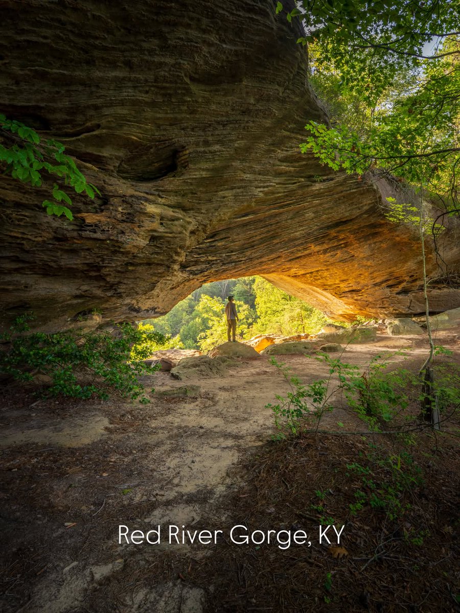 billyhikes's tweet photo. The perfect spring creek walk🍃 Copperas Falls - Clifty Wilderness- RRG
.
.
.
📝 I swear there must be a sinkhole hiding all the water at the base of Copperas Creek because it was dry! As we approached the falls the water began showing good signs of flow.… https://t.co/3vlPAyDu5t