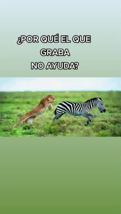 Vherga01's tweet photo. @ImagenTVMex @MendivilCrystal @imagen_crystal Porqué la que graba no hace nada? https://t.co/4voaGktZAd