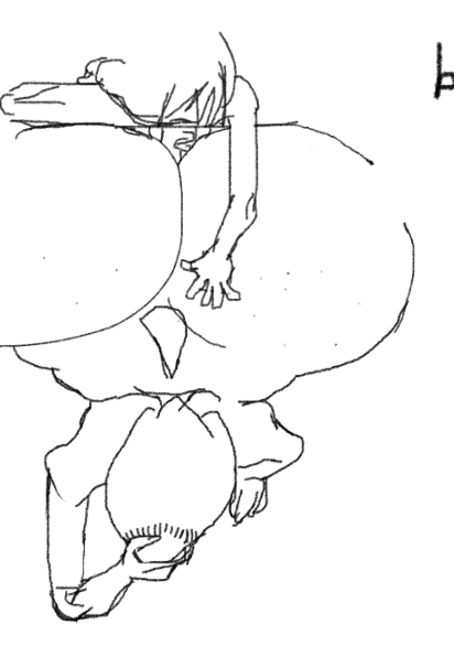 jonleyxh's tweet photo. more alphys wip https://t.co/tvWrVgz8VV