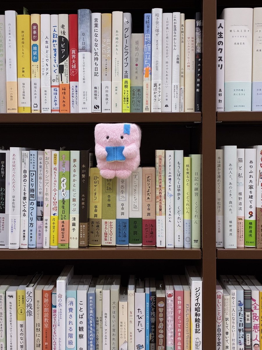 tsundokuzu_'s tweet photo. ほん、ある https://t.co/nVj7IQAROr