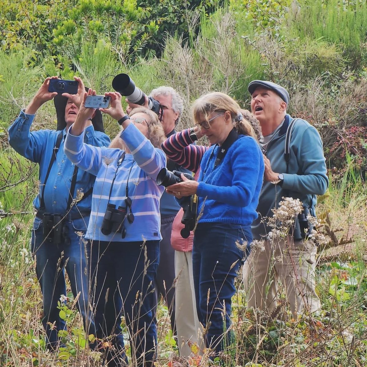 PUCNow's tweet photo. ✨ Let’s take a little trip back to this last weekend’s #BirdingBonanza 🐦💚✨
Yup…that’s Professor Hayes doing the Titanic pose 😂🤣 Looks like he’ll never let go of the fun from this weekend 🚢😄🎊
#PUCNow #FBF #FlashbackFriday #MendocinoCoast @PUCalumni https://t.co/KN9YK6jDuf