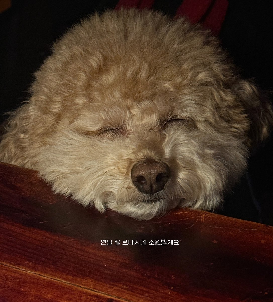 snidersolano's tweet photo. 疲れたときは無理をせず、ただ空を眺めて深呼吸しよう。明日も頑張っていこう！ 🔥😂
lNXf https://t.co/lyQJjK1LrL