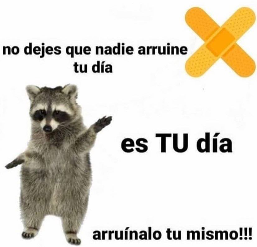 FraseSimple's tweet photo. https://t.co/YYmfCmKSUL