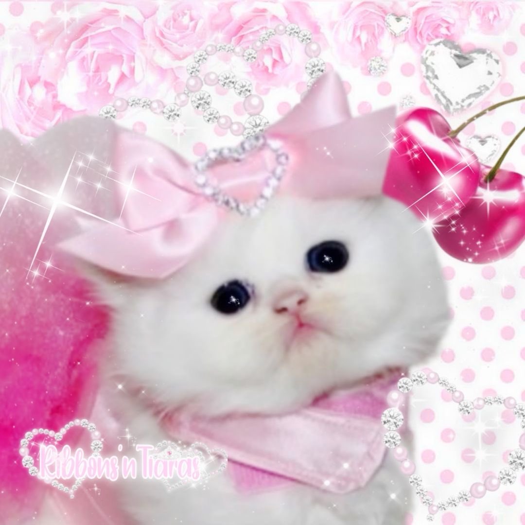 himedxllie's tweet photo. this is me irl ෆ https://t.co/M99sDtKXNO