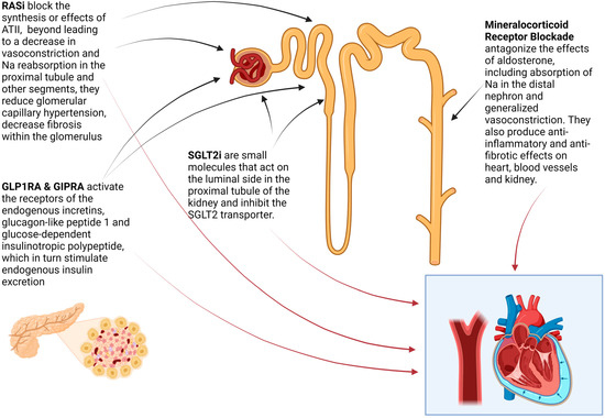 JCM_MDPI's tweet photo. #mdpijcm 
Explore this #review📖#Diabetes and #ChronicKidneyDisease in older adults
✅Citations 28
 https://t.co/ImHX3LhVCu
✍️@ChristosArgyrop
@MedPharma_MDPI
@UNMHSC 
#GeriatricNephrology #SGLT2i #multidisciplinarycare https://t.co/GP95L8HEAb