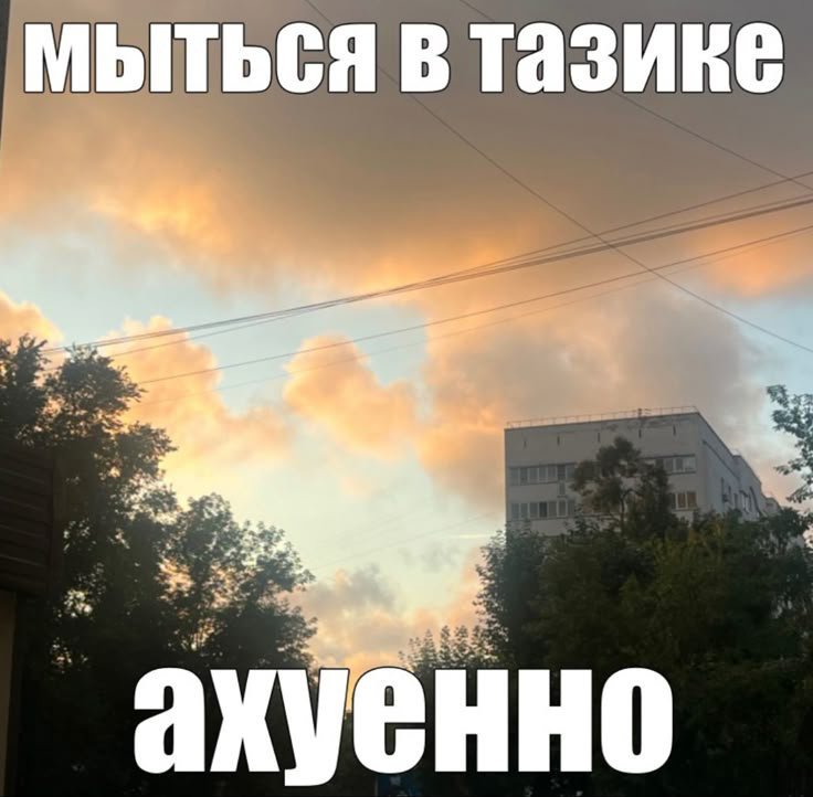 kizuyoo's tweet photo. @pnoefp Ты что, ведь https://t.co/6rsUZ8zrRw