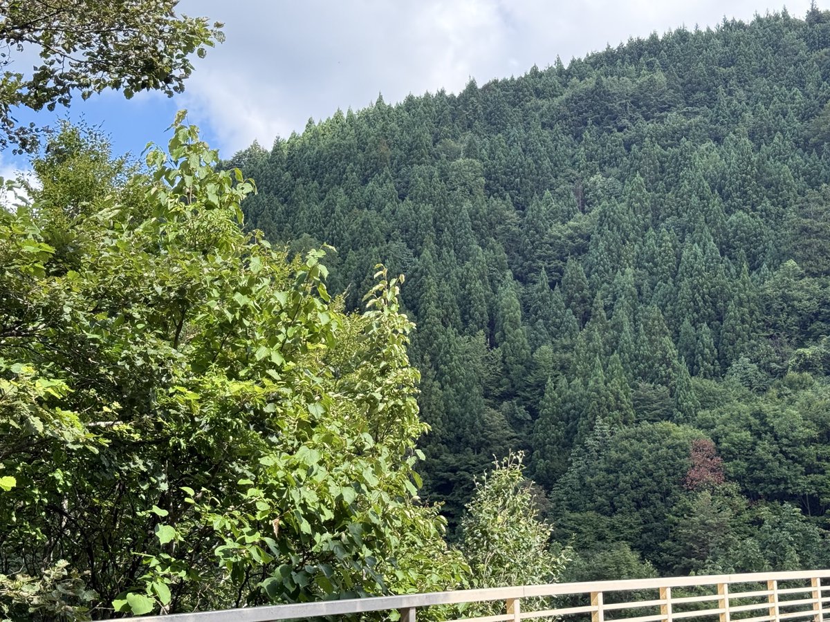 tanu1_f22's tweet photo. 途中に川内湖休憩 https://t.co/paN03JTvyL