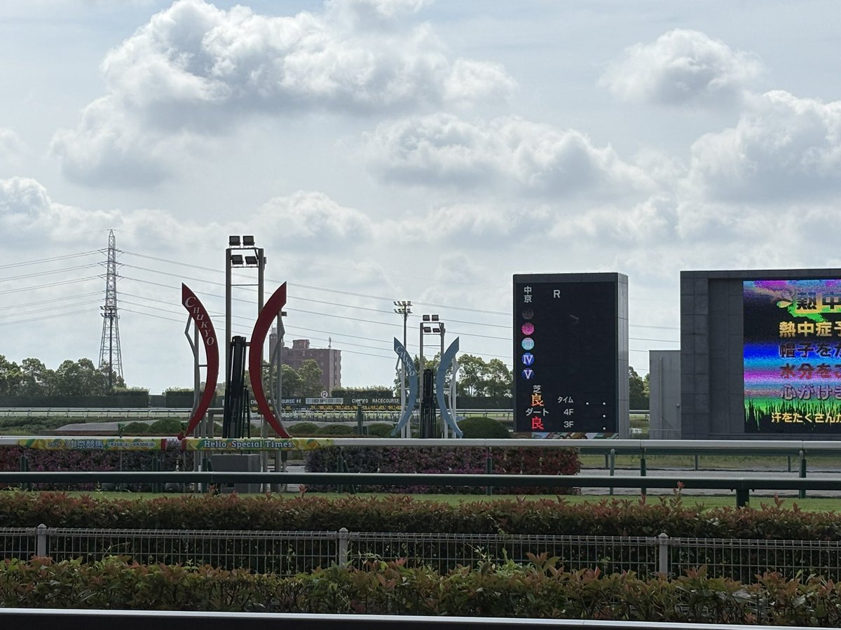 tiskomr313's tweet photo. 中京競馬場初見参🐎 https://t.co/6HmEreANtM