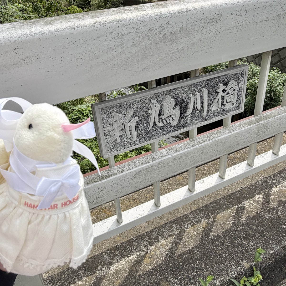 honecake's tweet photo. dolls marionnette vo.RYUJI主演朝ドラ、鳩たちの憩いの場「鳩川」に派遣蛇たちが「新鳩川橋」を架ける物語…✝️の聖地巡礼。(全て妄想) https://t.co/wqU8WdS0tM