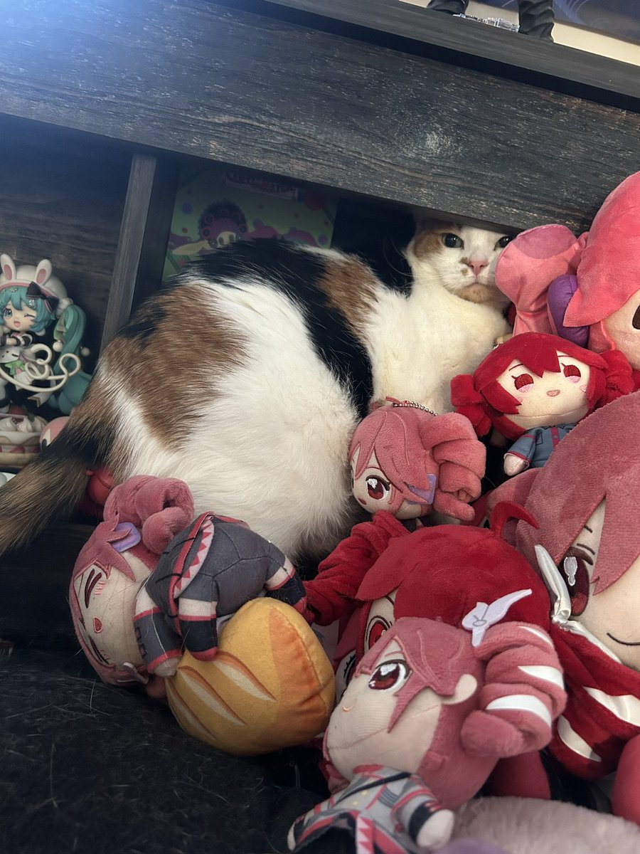 Scaevil's tweet photo. Why did she do this https://t.co/TQIeNgLYBu