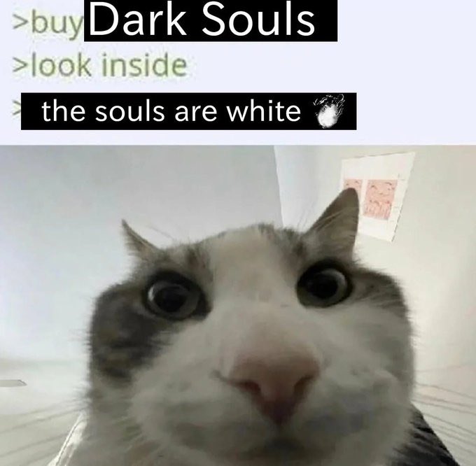 ShitpostGate's tweet photo. https://t.co/Z6ikSQA4bq