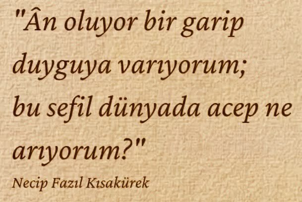 birkenardaa's tweet photo. https://t.co/rtdlSueaPS