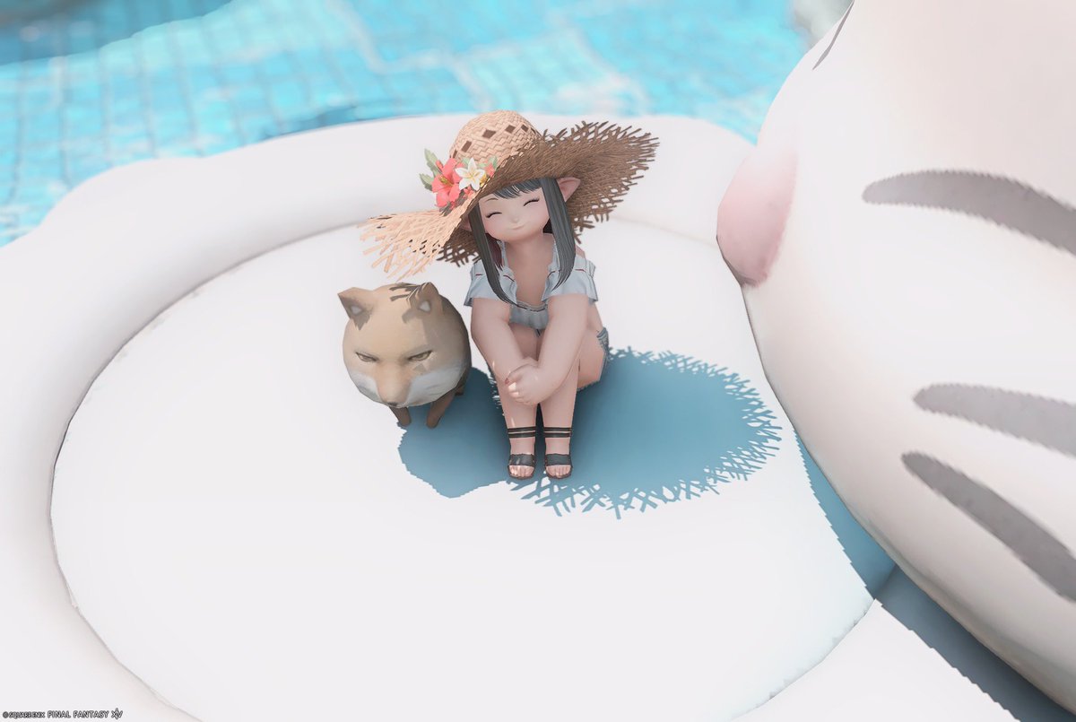 mekopoyo's tweet photo. ｵﾊﾖ( ᐛ )
今日頑張ればあしたはお休みだー！
 #おはララ https://t.co/5zDqMZw8w2