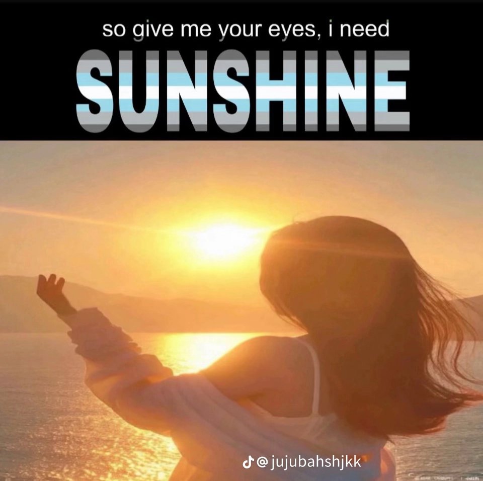 mikkameaw's tweet photo. We all deserve the sunshine  
#lgbt #gay #trans #demiboy #aroace https://t.co/URMqFACbi7