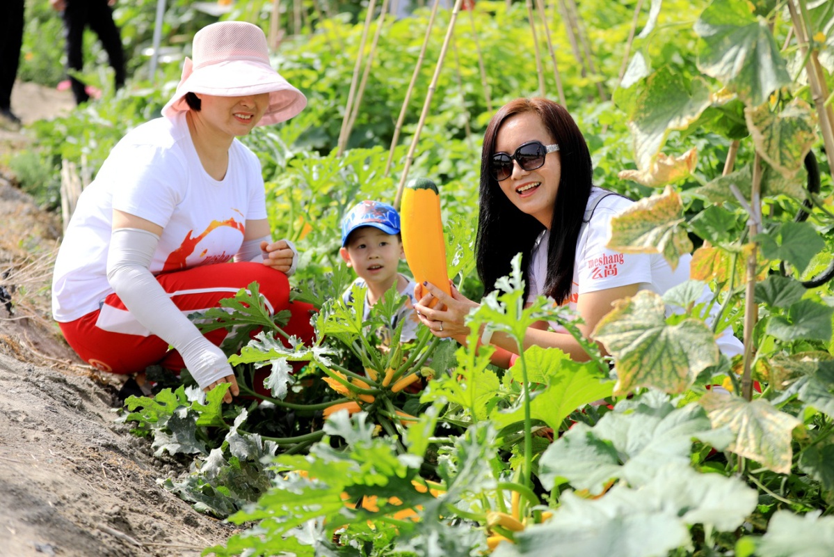 ForkinJen's tweet photo. Join our community garden harvest this Sat 10am at Maple Park! Learn to grow veggies, meet neighbors u0026 take home fresh produce. All ages welcome https://t.co/SkZJ3xUgFF