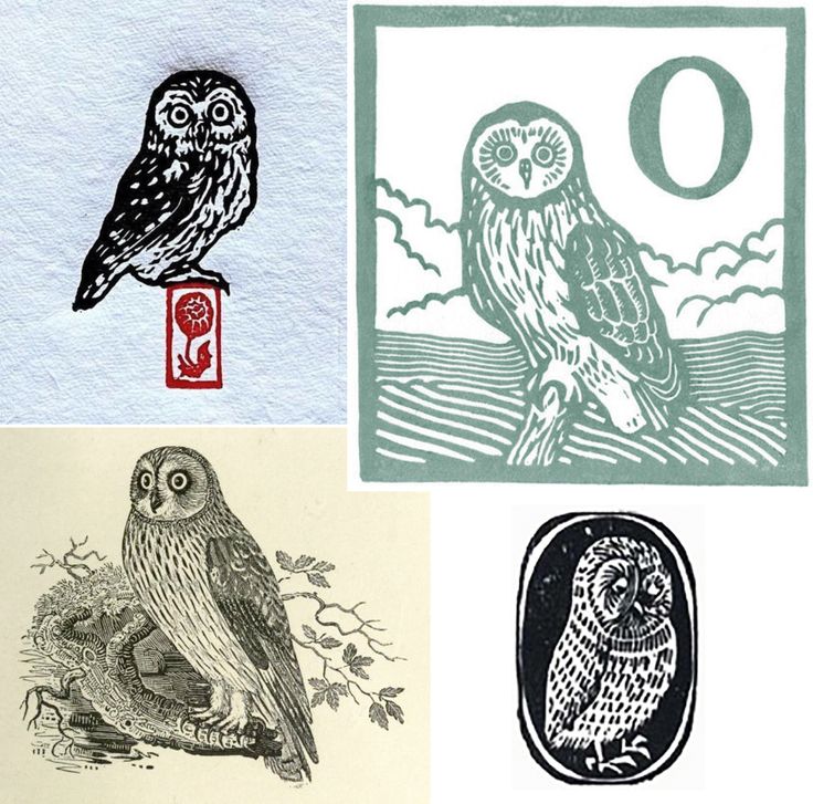 3Owl3Howl3's tweet photo. https://t.co/9eGYyIXPNI