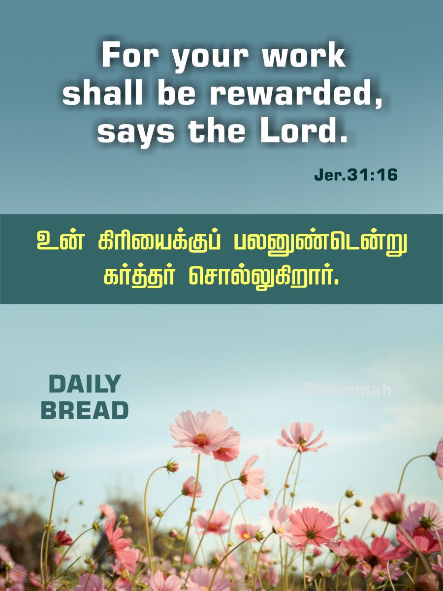 SamNaphtali's tweet photo. https://t.co/kePqf0XmjQ