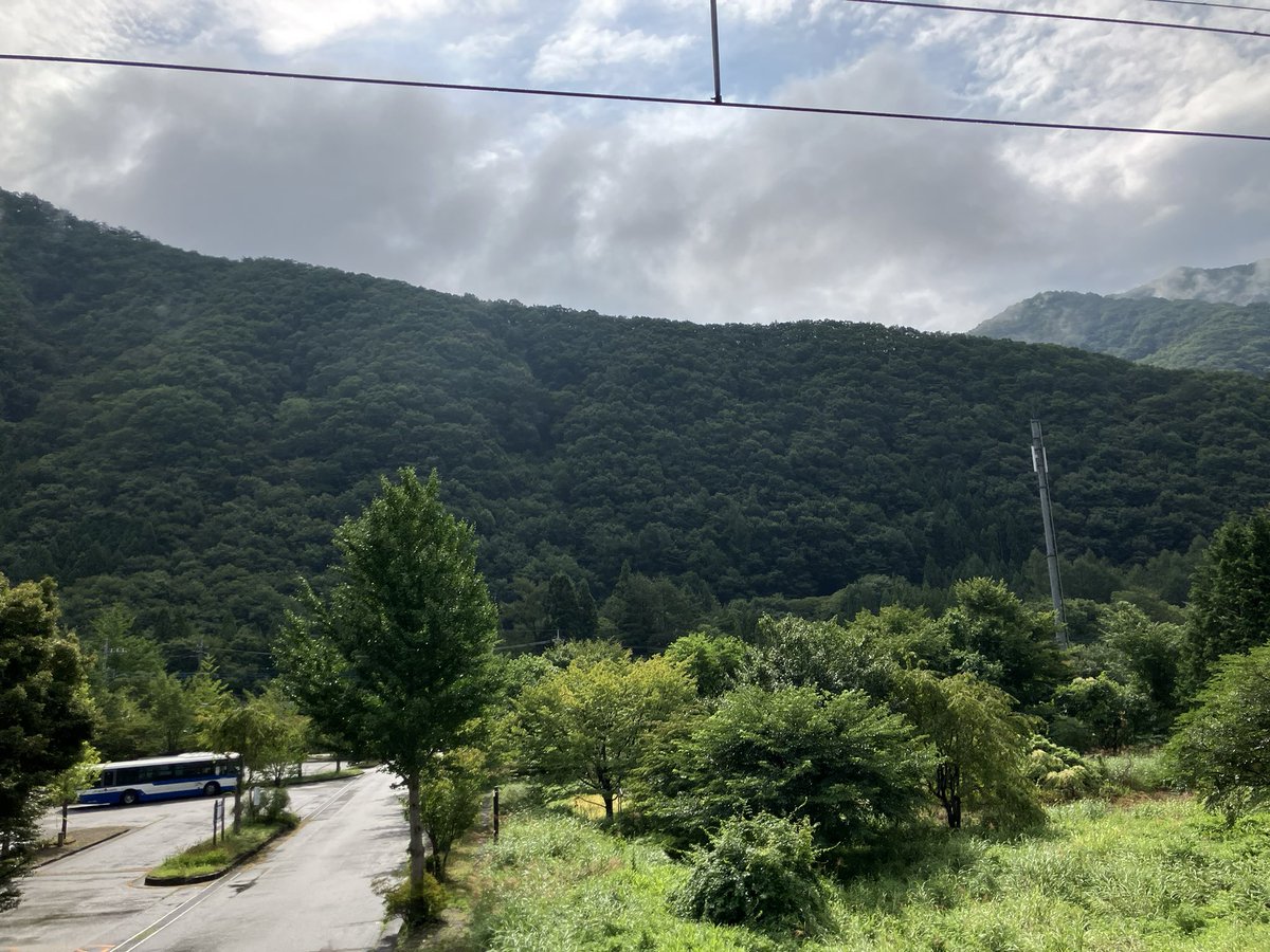 klein201801's tweet photo. 猫ちゃん達との触れ合いも名残り惜しいが、帰路に着く。往路と同じ行程ではつまらないので、西那須野駅に出ようと思ったが、天候と時刻表を鑑みて同じ経路を選んだ。野岩鉄道の一部車両には畳敷の車両があり、酒盛する乗客がいる。節度が保たれれば問題なし。 https://t.co/r0NGJblvV9