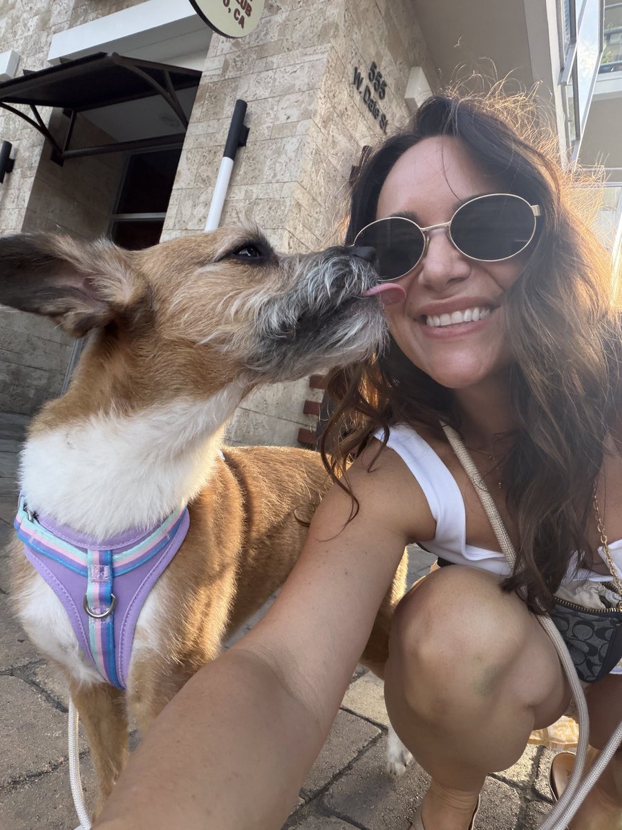 HollyJSD's tweet photo. Girls night out in little Italy #gno #sandiego #dogs https://t.co/WLequMAAvl