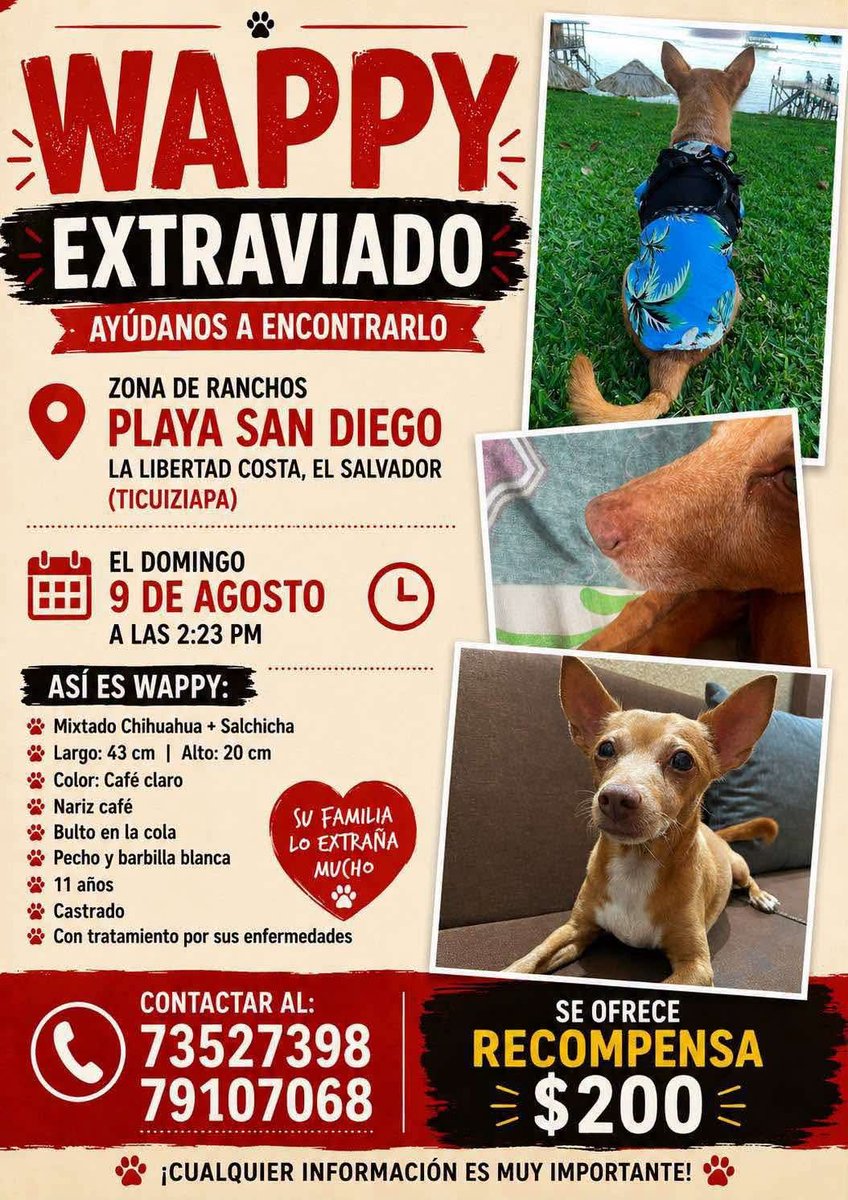 lyssitta's tweet photo. SERVICIO SOCIAL✅️
#SEBUSCA 📣 https://t.co/hs73CG8ntK