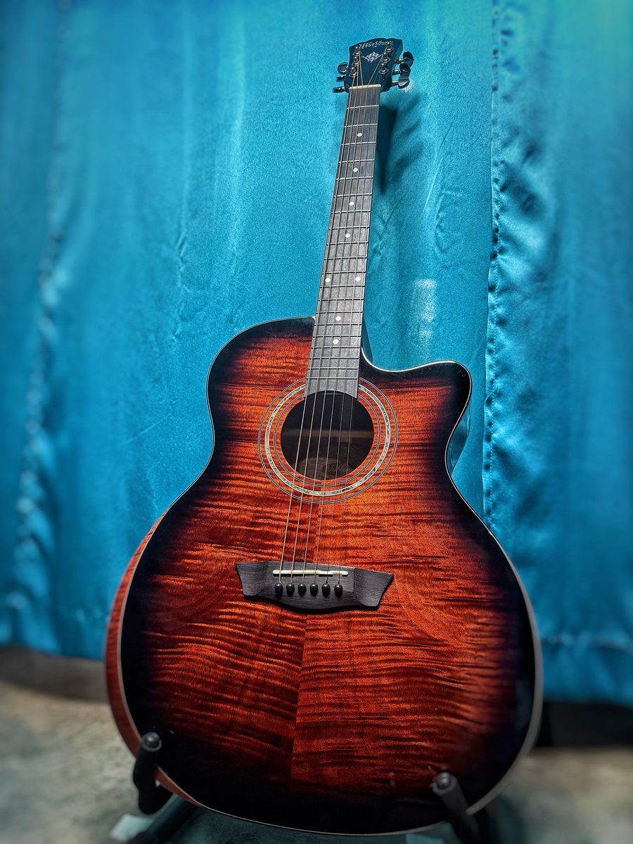 theaaronjhogan's tweet photo. Meet “Fancy”, my new @washburnguitar bought from Yates Music Store  in Elizabethtown Ky! Go check him out, great person &amp; great store! 🎶

#yatesmusicstore #elizabethtownky #guitar  #kentucky #washburn https://t.co/RO6gByLnyE