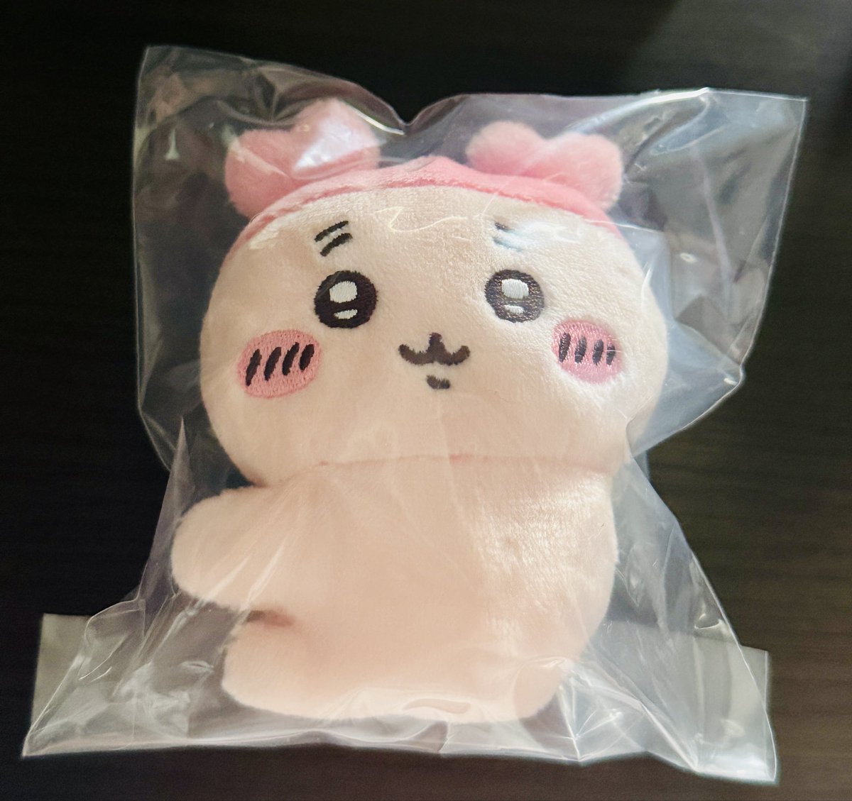 P_pudding2024's tweet photo. 某雑貨屋にて箱に入ってるちいかわクリップぬいぐるみ②が無造作に2個残ってたから買って開けてみたら🦀ちゃん出て変な声が出た🤣←余り物に福があってよかった💕十二国記のシールもGETした✌️（実はまだ白銀の墟 玄の月2.3.4買えてなかった）新刊も楽しみ〜♪ https://t.co/1AFDnKfqQw