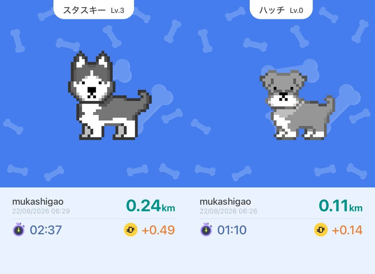 mukashigao's tweet photo. スタスキーとハッチが仲間になった‼️

犬種が増えて一緒に散歩に行く楽しみも🆙
#LOOTaDOG
#Invitationcode 56157287
@LOOTaDOG
@LOOTaDOG_JPN
https://t.co/ueyN3iv1K1 https://t.co/GtJogjmG5A