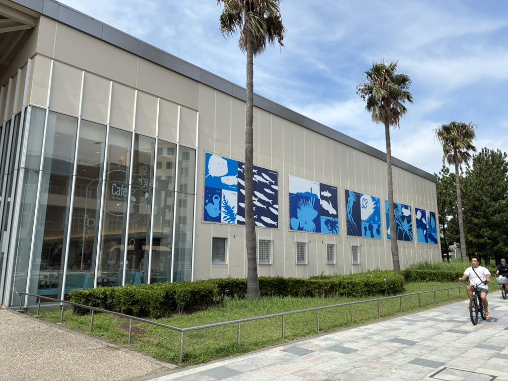 she1s_ow's tweet photo. 水族館 https://t.co/SzHCS5FC0S
