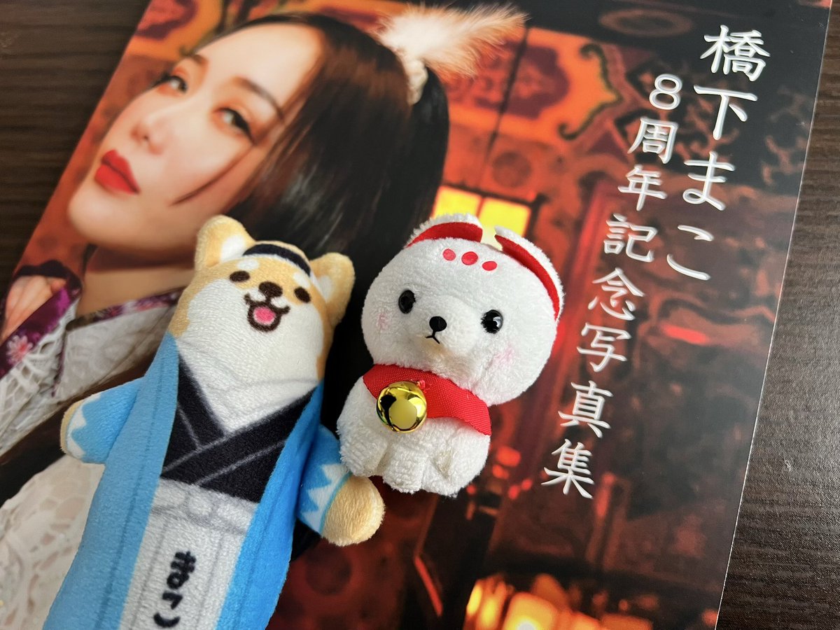 ChiiMako693's tweet photo. 写真集、今年も最高でした！📙✨ https://t.co/RfniJmOX9c