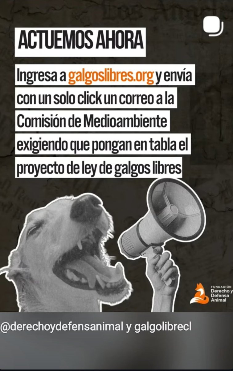 Ru_lif's tweet photo. Chicos , entre a https://t.co/x3Kx7lyclC  y envíen un correo a todos los honorables que deben dar luz verde a la 🤜ley de prohibición de las carreras de los galgos , está todo listo , solo haces click y le reenvía a tu bandeja de mail para que envíes el correo a los Honorables 👇 https://t.co/jeL54tfxq8