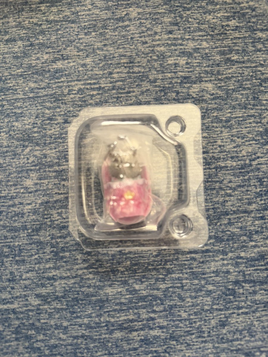 mpvajra's tweet photo. @nassshuuux 検索より失礼します。
当方ペルシャ所持しております。ハムスターとの交換可能でしょうか。郵送か仕事終わりでしたら渋谷にて交換可能です。 https://t.co/Fs6qurJLr2