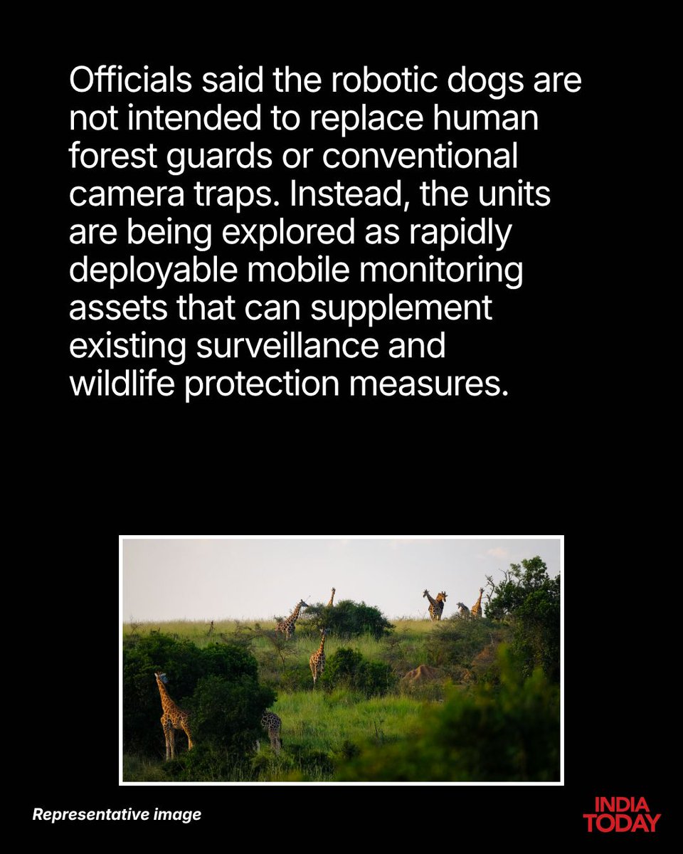 IndiaToday's tweet photo. The Tirumala Tirupati Devasthanams (TTD) is exploring the use of AI-powered robotic dogs to monitor wildlife movement and enhance the safety of millions of pilgrims trekking through the forested Tirumala hills.

TTD senior officer Ch. Venkaiah Chowdary, along with other officials, recently inspected a quadruped robot at the Sri Padmavathi Guest House to assess its readiness for deployment in dense forest terrain.

#TTD #Tirumala #Tirupati #RoboticDogs #AI #WildlifeMonitoring #PilgrimSafety #ITCard