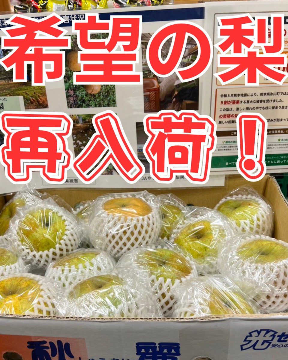 kumamotokan's tweet photo. 「希望の梨」第2陣、本日再入荷しています。

ご購入がそのまま農家さんの復興支援に✨

銀座熊本館は本日も11:00に開店いたします。 https://t.co/Q0oC4B9lbc