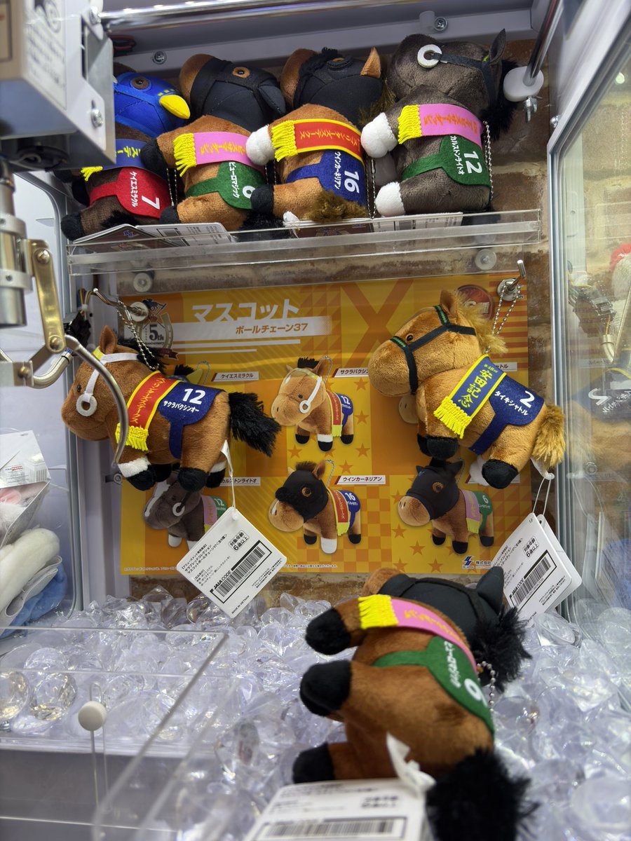 MandaiSapporo's tweet photo. ✨🔔新入荷情報🆕💬

ミニキャッチャーからサラブレッドシリーズ展開のお知らせです(っ ॑꒳ ॑c)

🐎サラブレッドコレクション
　　ぷちマスコットボールチェーン7

🐎サラブレッドコレクション
　　ぬいぐるみバンド

🐎サラブレッドコレクション
　　マスコットボールチェーン37 https://t.co/H0x7FHvWE1