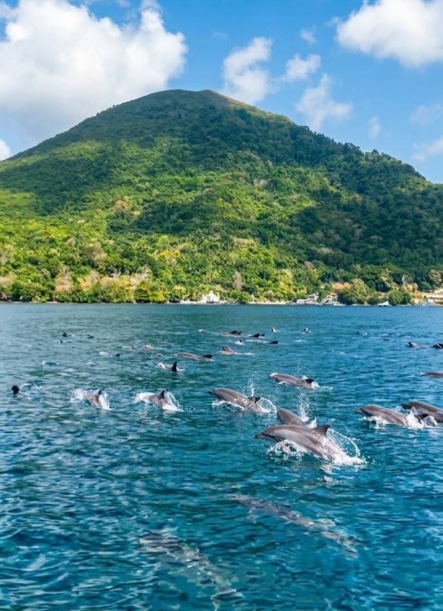 sesiliaaakth's tweet photo. Surga kecil yang masih menyimpan keajaiban di bawah lautnya. Hari itu lumba-lumba membuat atraksi gratis sampai warga antusias datang melihatnya
📍Banda Neira 

#BandaNeira #Maluku #MalukuTengah #IndonesiaTravel #HiddenGem #VolcanoIsland #SpiceIslands https://t.co/nPkwFqGqiH