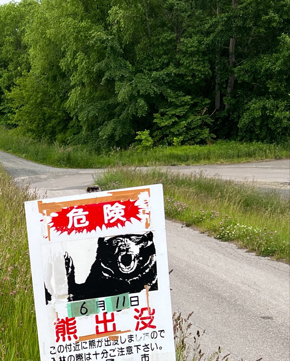 MATEONE03's tweet photo. アパート前の堤防 またヒグマ出た
6月は下流側 今月は上流側。挟み撃ちだ😱 https://t.co/0eN0nv2hKH