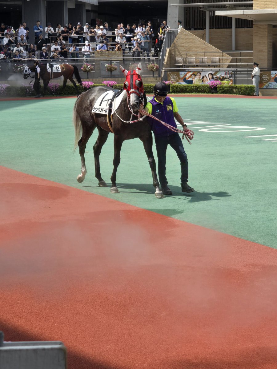 saioh_s's tweet photo. ウインヘリオドール
急に止まりすぎ感はあるけどそういったのも含めて実力なんかな
これで解散でも仕方無しの負けかた https://t.co/VpEzlNf9vd