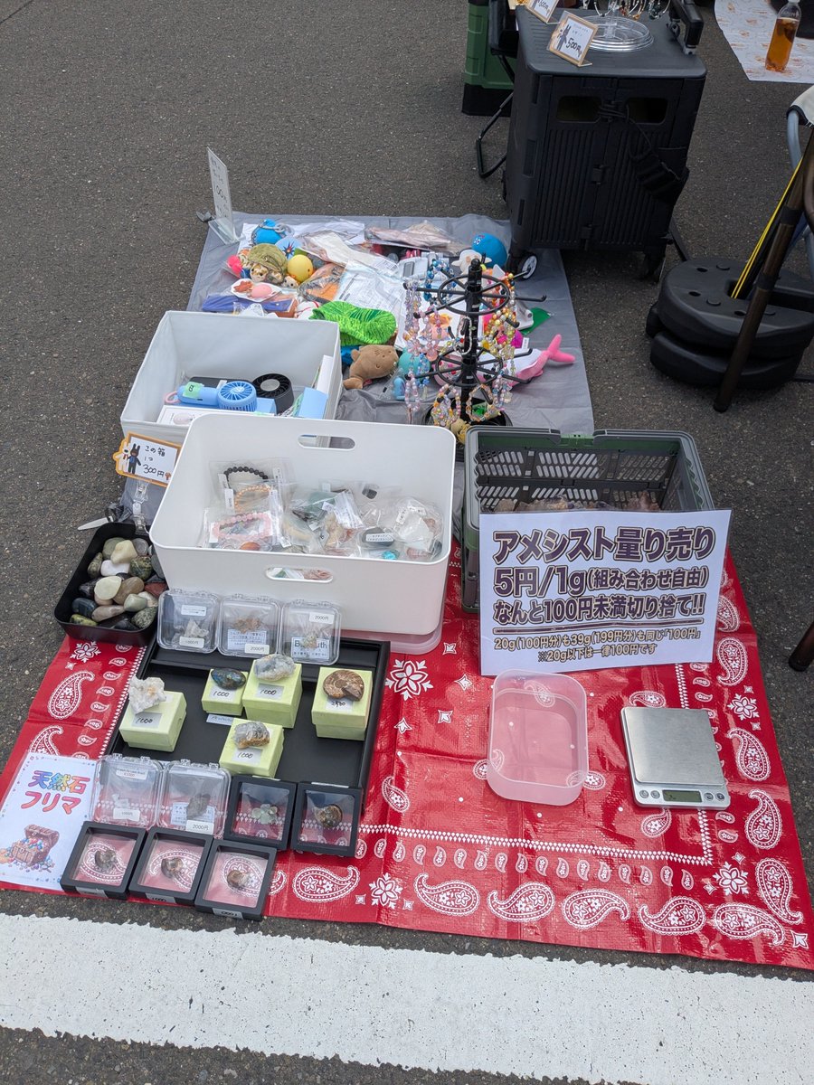 sendai_kids's tweet photo. #POPUPマルシェ東北 in カインズ仙台泉店に出没中！

お天気よくなりそう〜💕

お祭りびよりですね🫠💦

#仙台
#泉区 https://t.co/pUeQTmO2zh