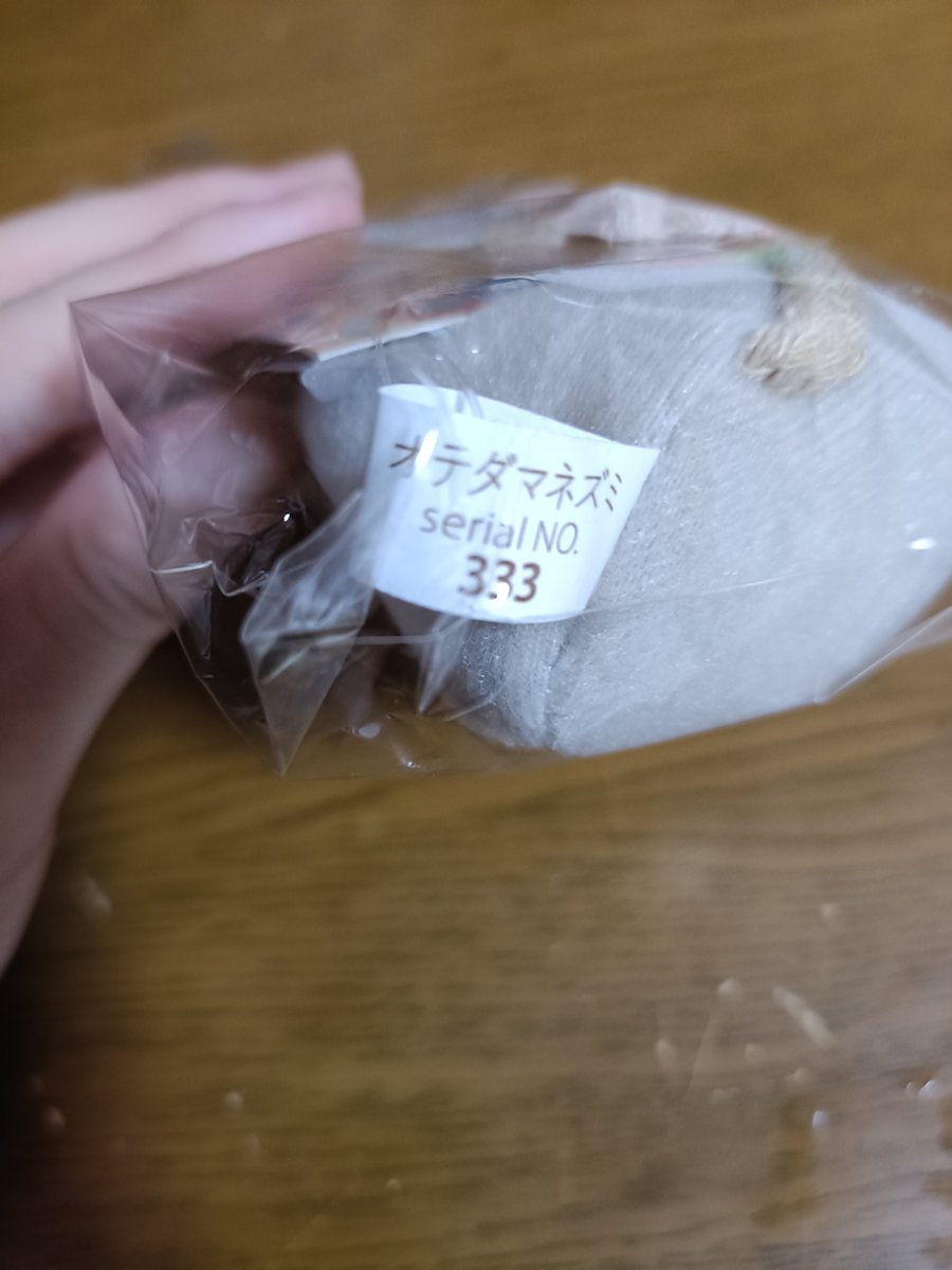 nonochi772's tweet photo. オテダマネズミちゃんが家に来た！
左がおばあちゃんにもらった子
右が新品の子！

番号が333のゾロ目！
おばあちゃんにプレゼントしたら絶対に喜んでくれると想うな！ https://t.co/RyzoX4G6Bp