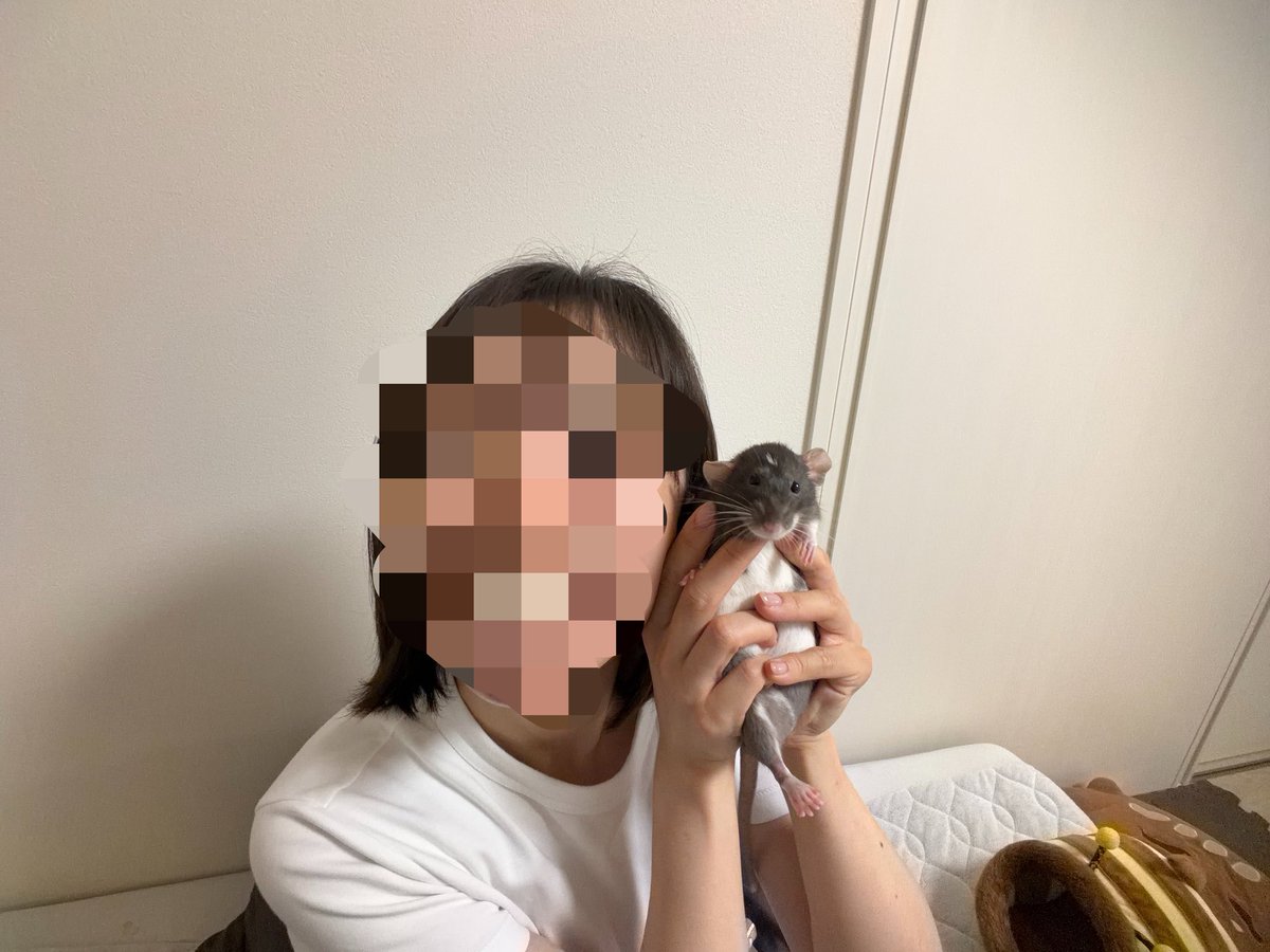 4283n's tweet photo. 🐭とセルフィーを夜な夜な1人でやるんですけど、ピステに拒絶されました🫷
#ピステ https://t.co/t2oXr4VKIJ