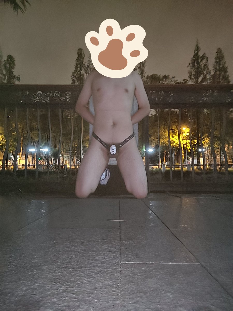 linmengqixing's tweet photo. 深夜，即使有人在对岸聊天，骚狗还是不能控制的脱光衣服跪地发骚，希望能被调教 https://t.co/G67NBHRkSo