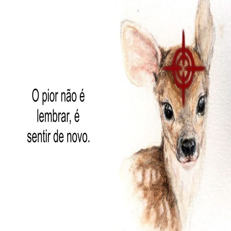 xheleninha's tweet photo. . https://t.co/qmqUYgJTLi