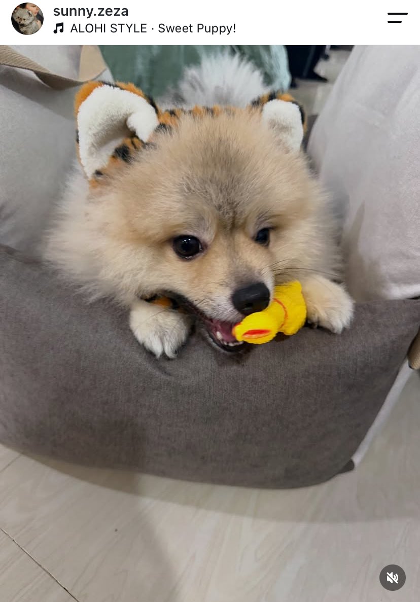 cake44611's tweet photo. ใอ่อ้วงงงง #sunnylittleboy #FayePeraya https://t.co/qpU9Vp6tcc