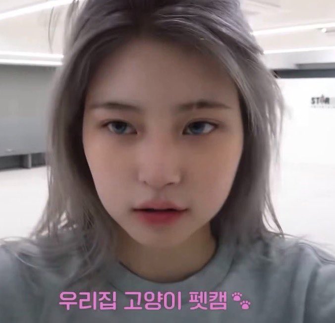 kittygirlhaum's tweet photo. 흉터때문에 천연눈썹스크래치(심지어 되게 애니캐릭터같은 위치에;) 있는거 진짜 개과한 달란트라는 생각이갑자기듦
벅차오른다.. https://t.co/7YBKNJnMnW